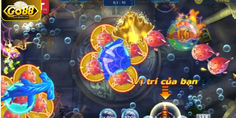 Lựa chọn ngư trường săn cá yêu thích